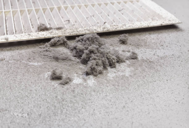 Best Residential Air Duct Cleaning  in Bensley, VA