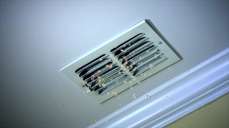 Best Affordable Duct Cleaning Services  in Bensley, VA